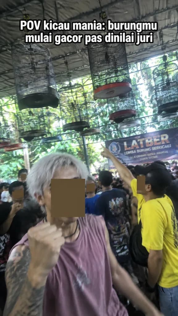Chaotic Indonesian Bird Contest Meme