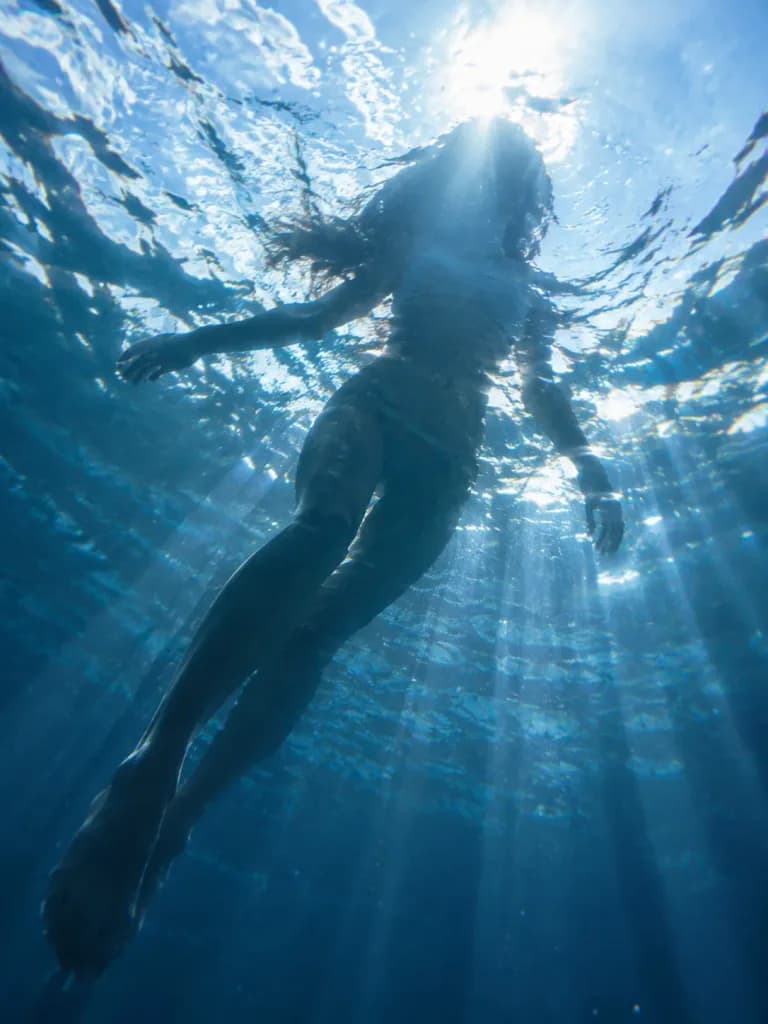 水面下からの仰角シルエットと光の屈折