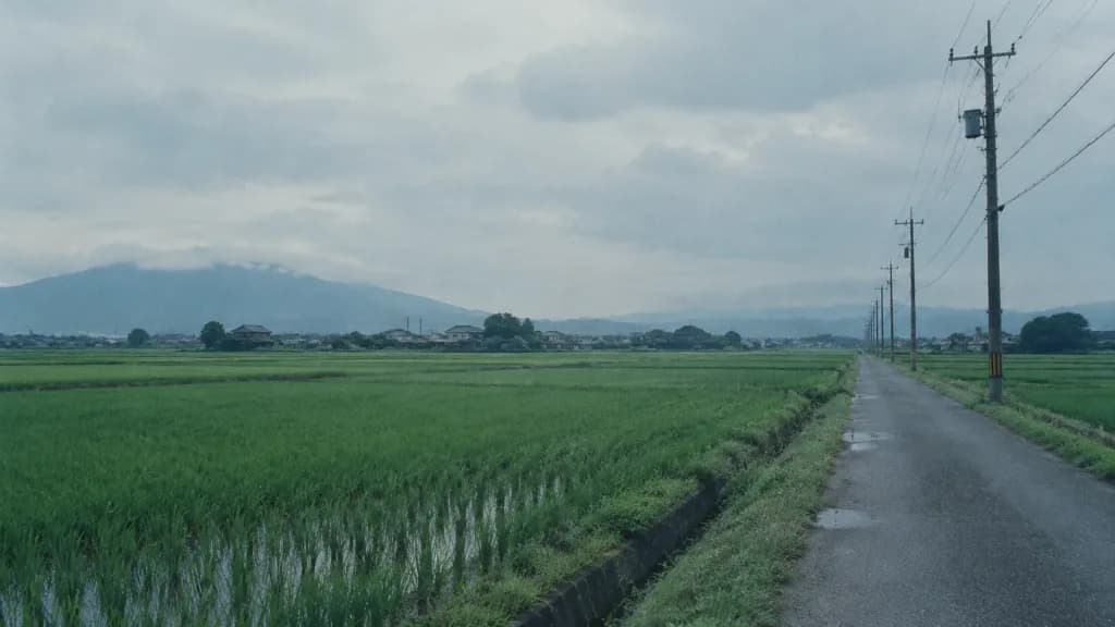 夏の日本の田園風景フィルムスチル