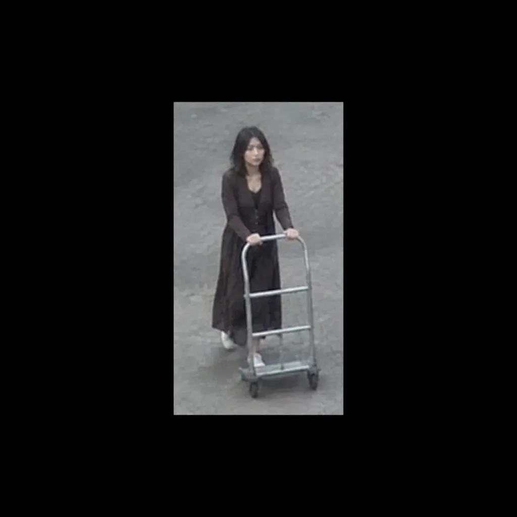 Surveillance Camera Footage Hand Cart
