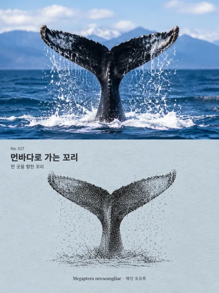 Humpback Whale Tail Diptych Poster