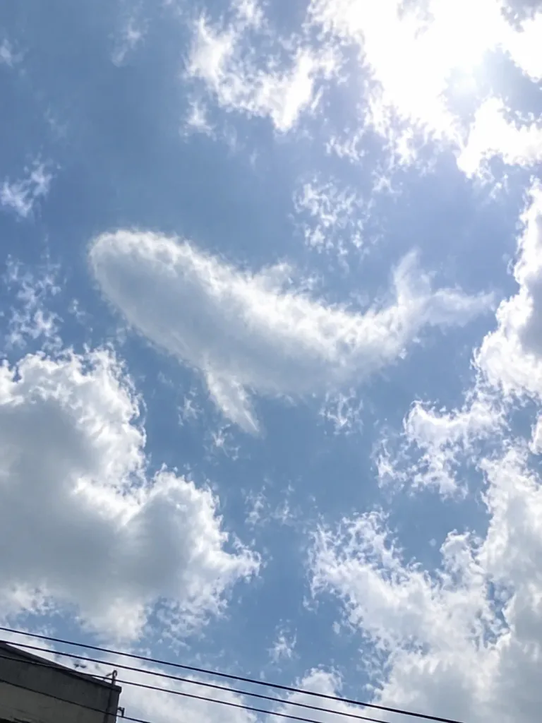 Pareidolia Cloud Smartphone Snapshot