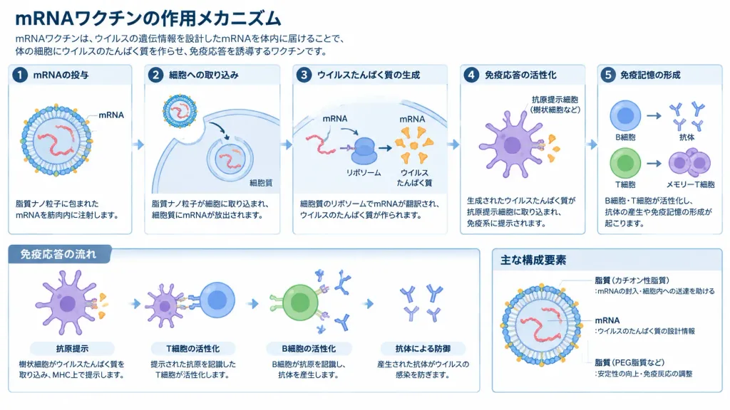 Academic Research Diagram in Japanese