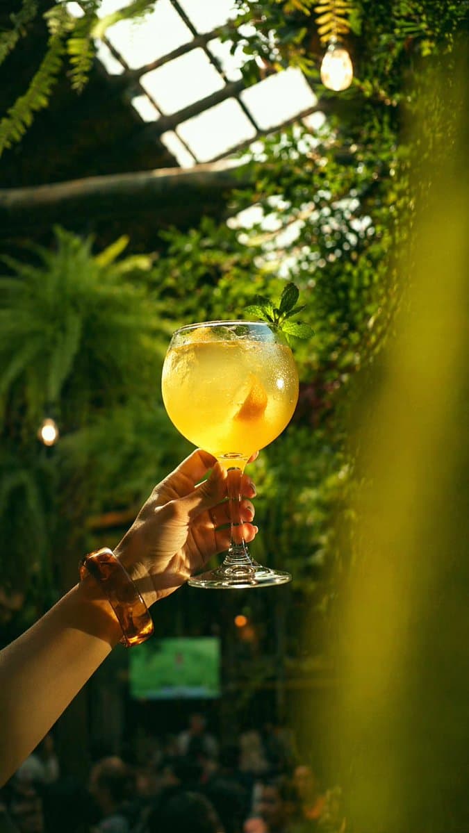 溫室酒吧裡的金色雞尾酒