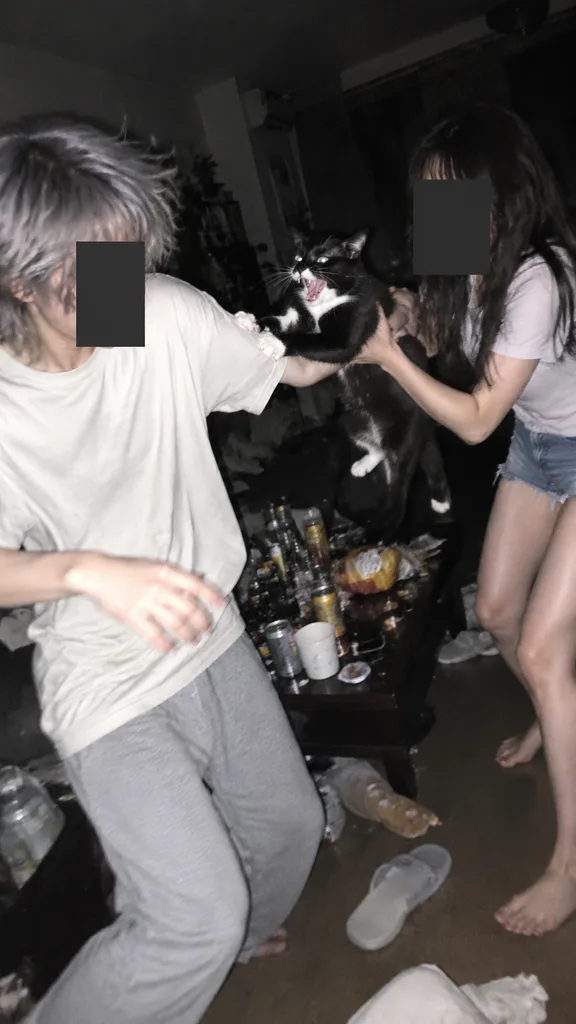 威嚇する猫とフラッシュスナップ