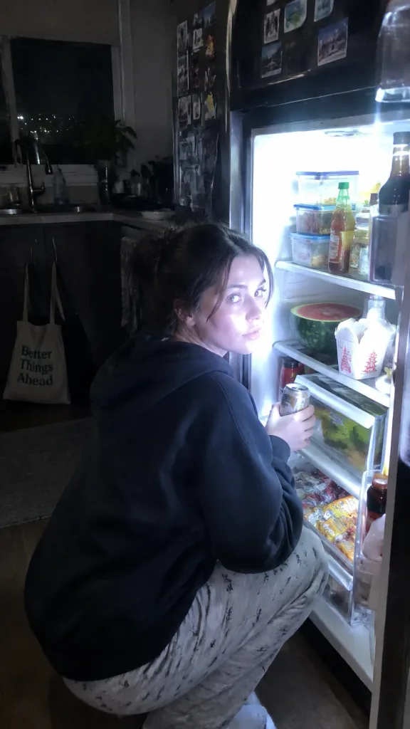 Scatto Rubato Notturno al Frigo